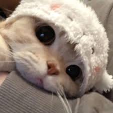 ปุ๊กลุก ฝนทิพย์ avatar